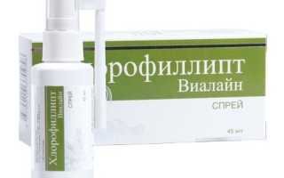 Хлорофиллипт при беременности