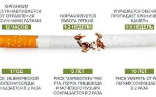 Очищение легких курильщика народными средствами