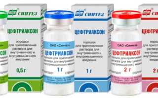 Цефтриаксон: чем разводить для внутримышечного введения