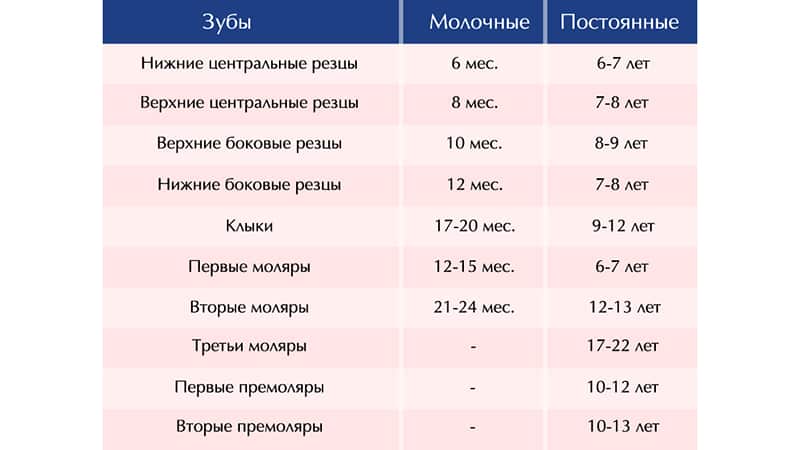 Как режутся зубки фото