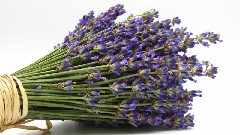 если болит зуб чем полоскать рот при зубной боли