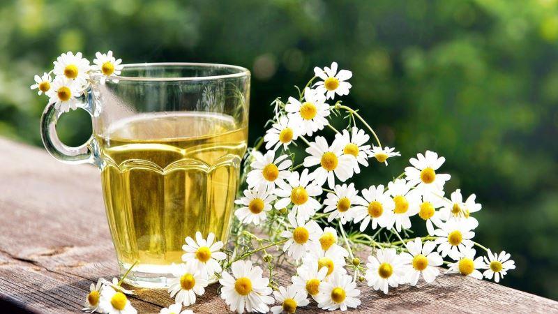 Народные методы борьбы со стоматитом