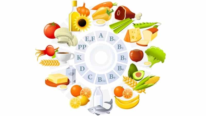 красные язвочки во рту у ребенка