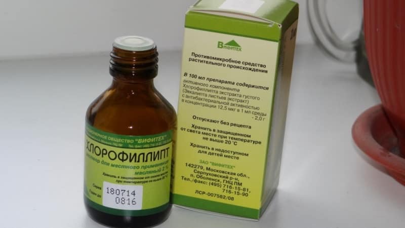 как и чем перебить запах лука изо рта