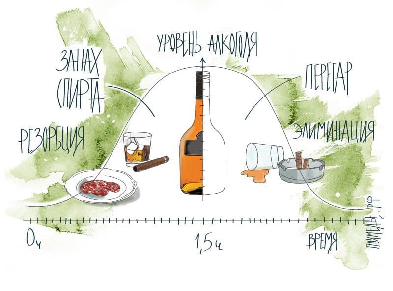 Как быстро убрать запах перегара изо рта утром