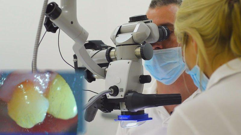 Как выбрать стоматологический микроскоп
