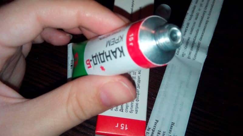 кандид для полости рта