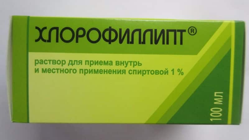 хлорофиллипт масляный при стоматите у детей