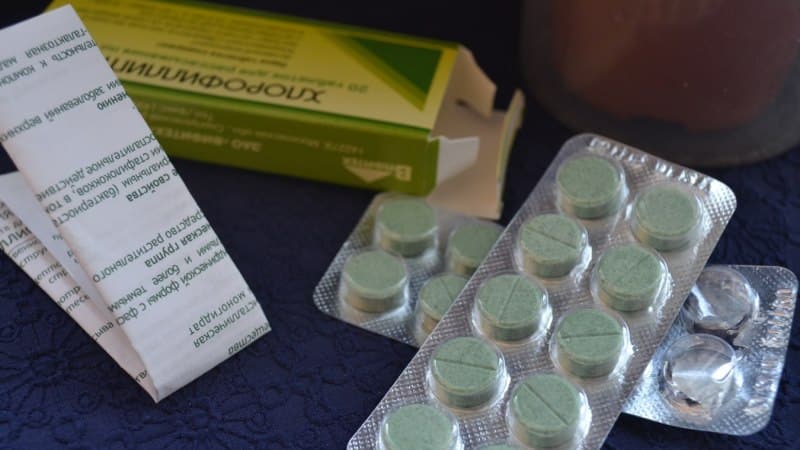 хлорофиллипт при стоматите взрослых