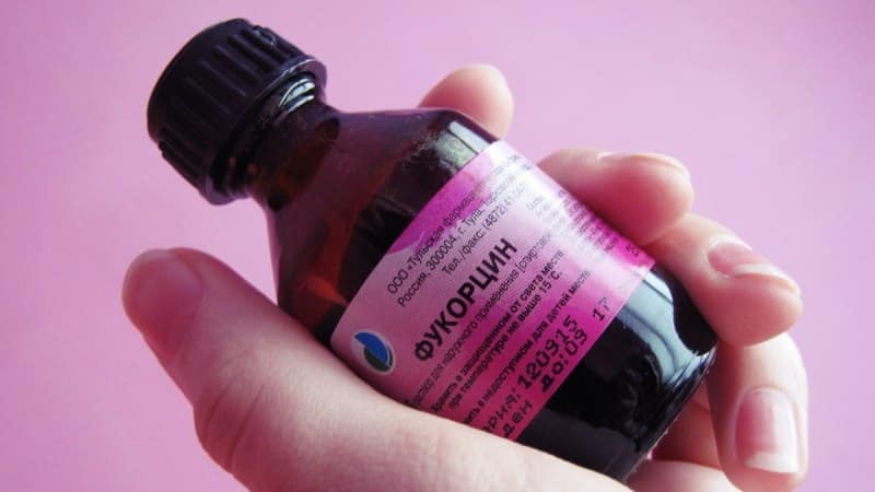 хлорофиллипт при стоматите детям