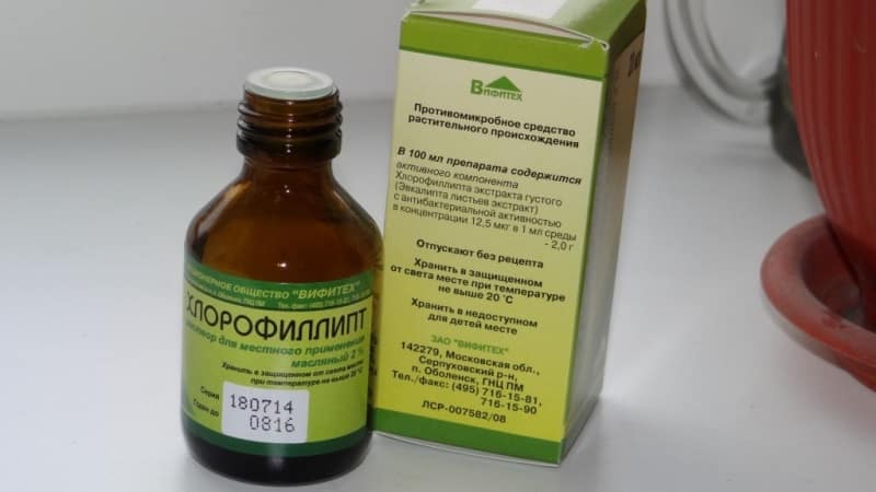 красный язык у ребенка причины