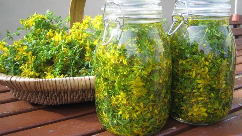 лекарство от запаха изо рта