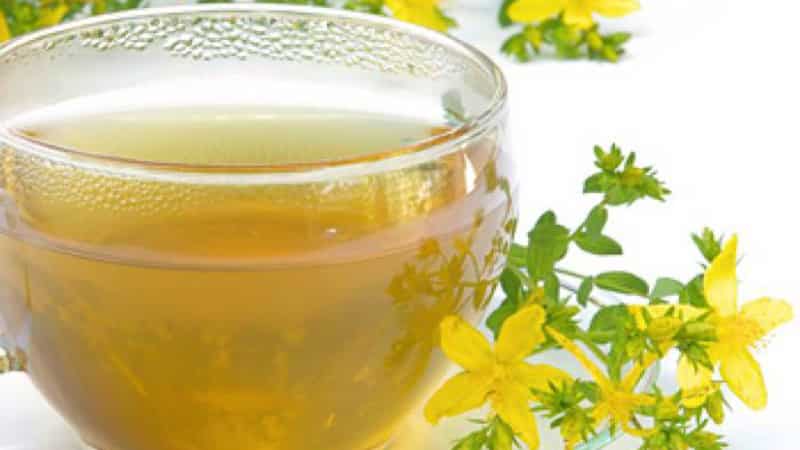 Настойки из трав и плодов в борьбе с воспалением десен