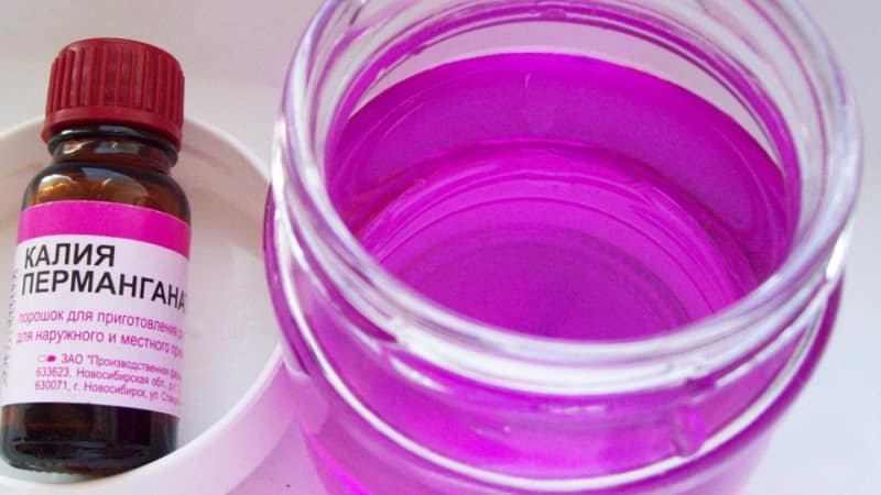 нарывает десна что делать в домашних условиях