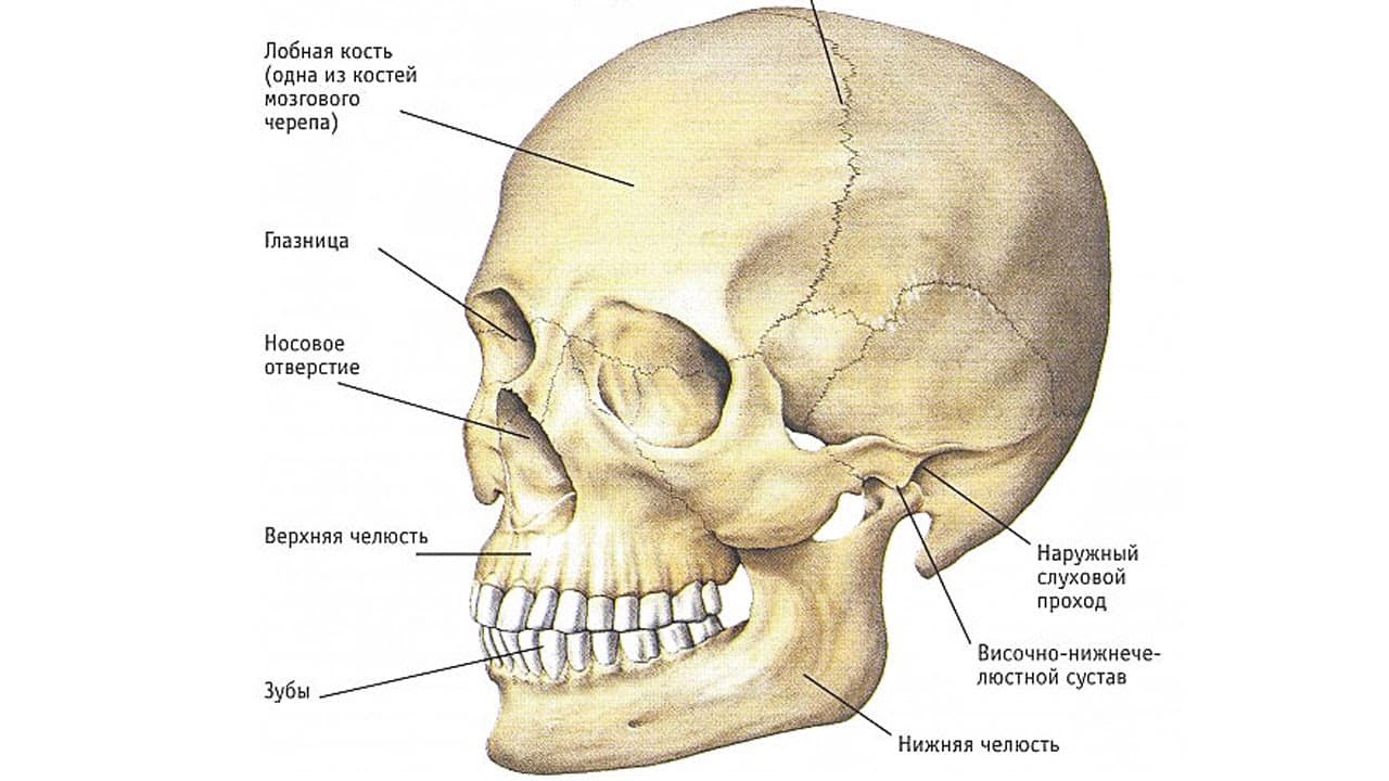 почему ломит ноет болит челюсть справа слева при открывании рта причины что делат