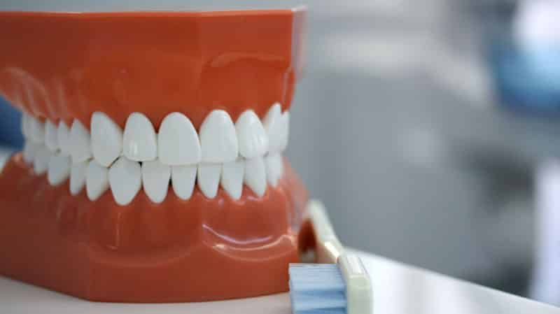 Правильный прикус у людей