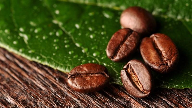 почему изо рта пахнет тухлыми яйцами