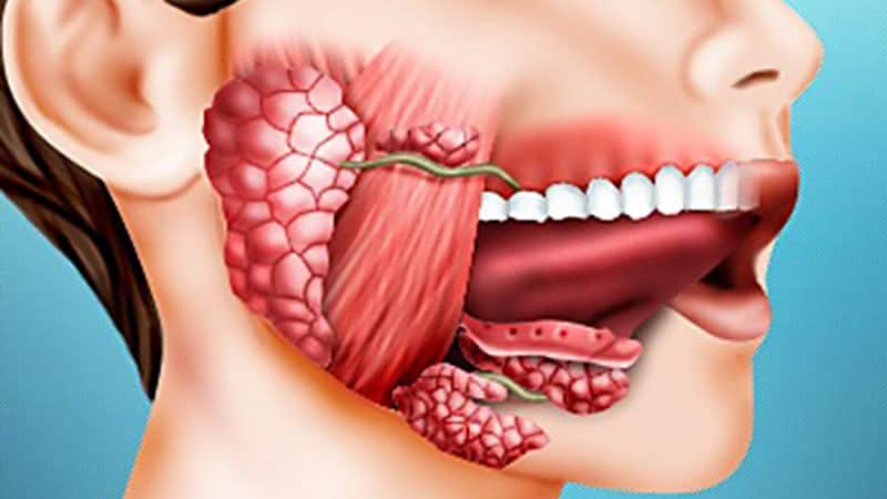 что находится под языком во рту