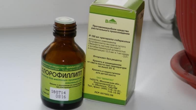 сосочки языка