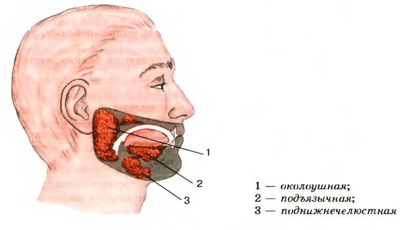 запах кала изо рта причины и лечение