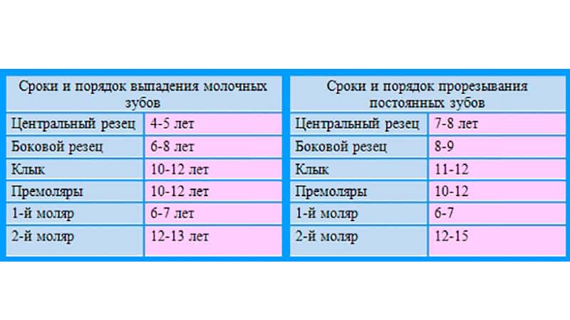 Смена зубов у детей - схема